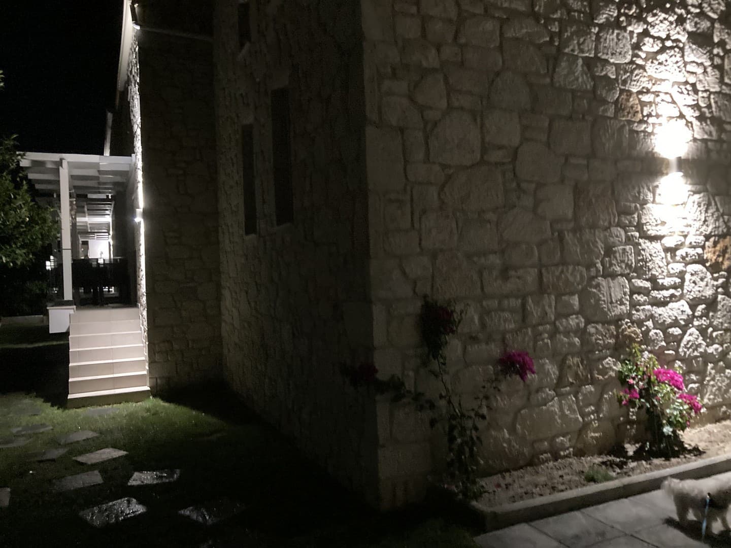 The lit stone wall of the house at night with bougainvillea in bloom